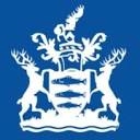 Logo for Kingston upon Thames